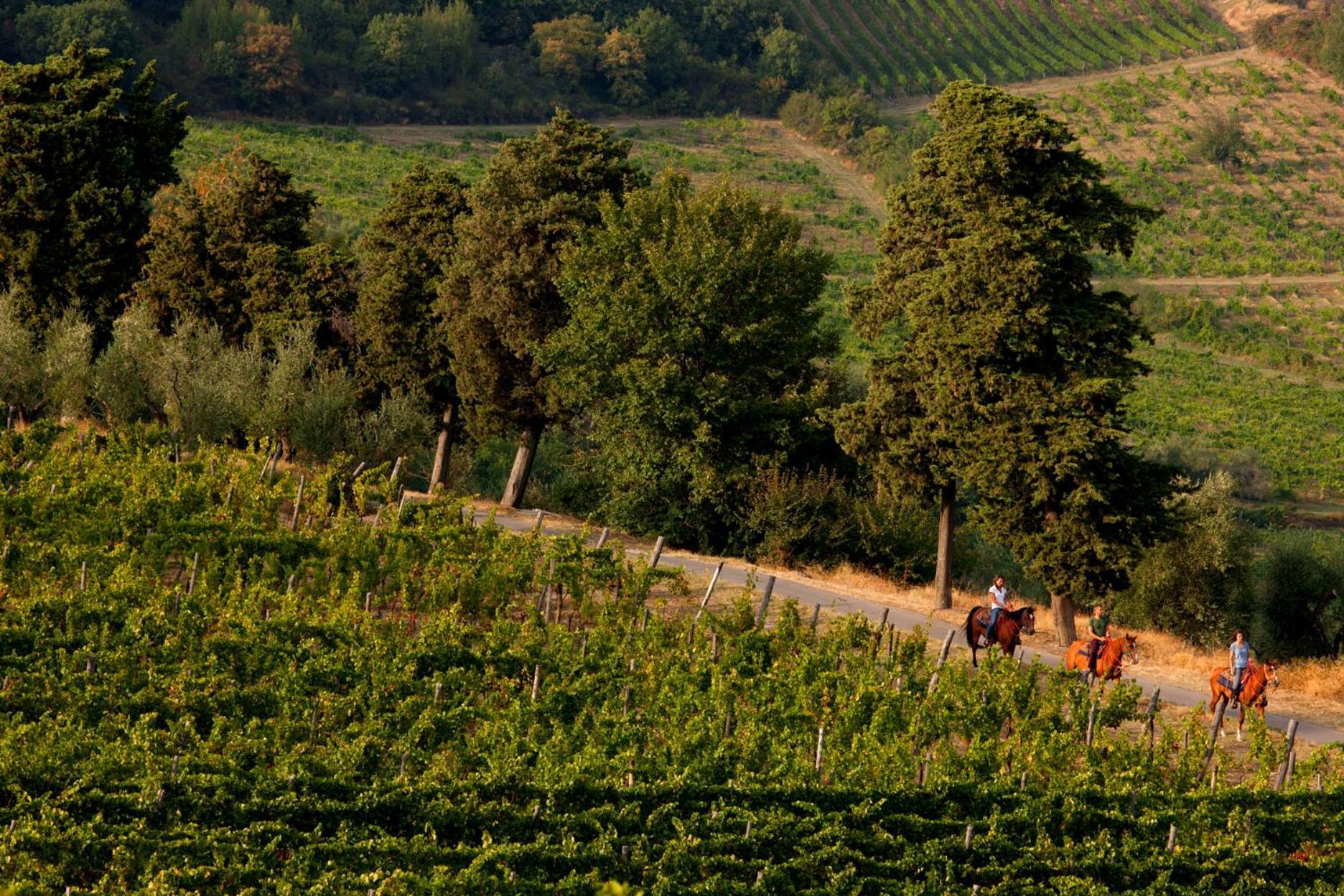 Agriturismo Fattoria Lavacchio Pontassieve Exterior photo